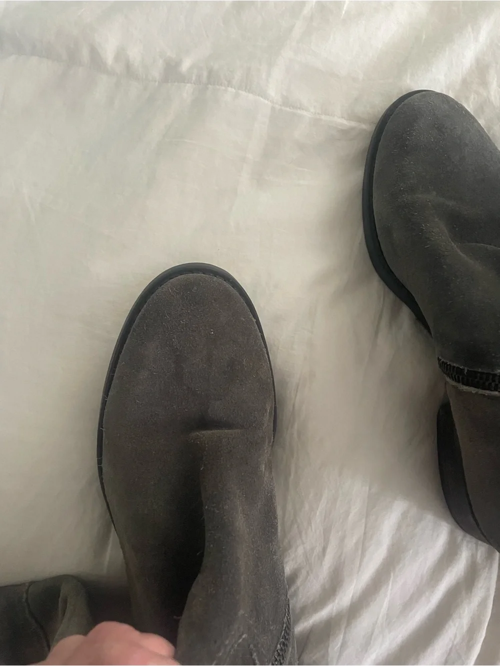 J. Crew Gray Suede Boots